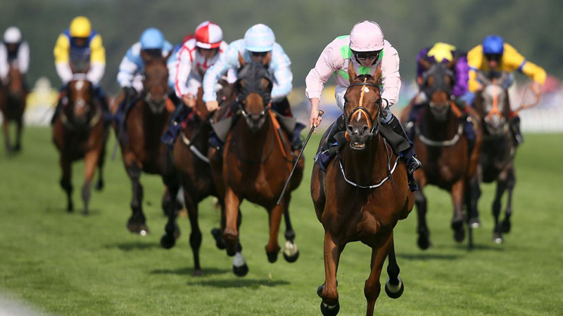 Kettering Limo Hire Royal Ascot | Limo Hire Kettering Royal Ascot
