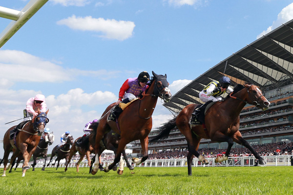 Kettering Royal Ascot Limo Hire